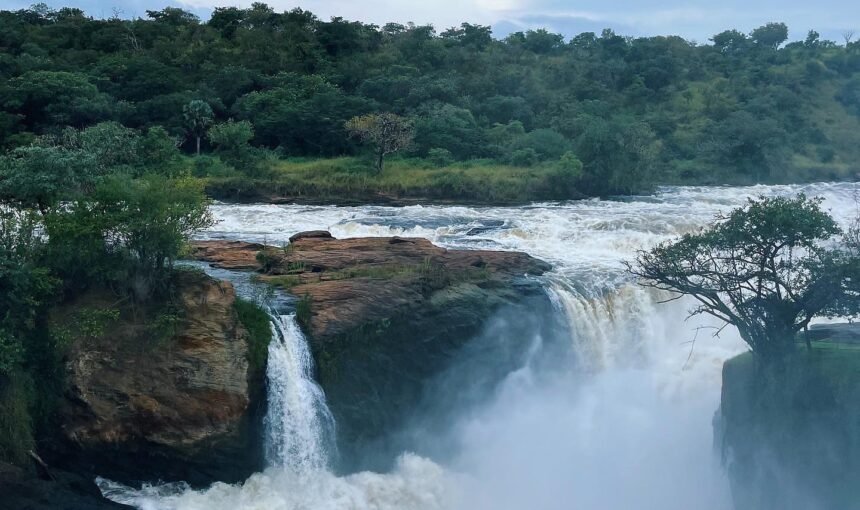 A guide to most popular Uganda game reserves