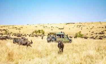10 Days Tanzania big five  luxury camping Serengeti, Masai Culture and Ngorongoro safari