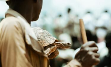 3 Days Gorilla safari Rwanda