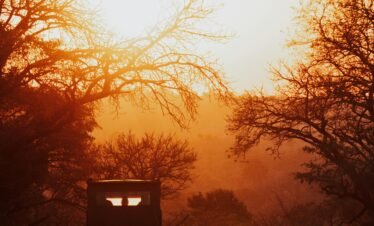 12 Days big five Tanzania luxury camping Serengeti, Ngorongoro and Tarangire Safari