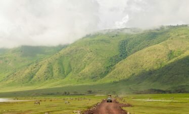 5 Days Tanzania Ngorongoro Serengeti bigfive safari